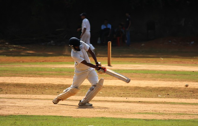 Exploring the different types of cricket betting strategies