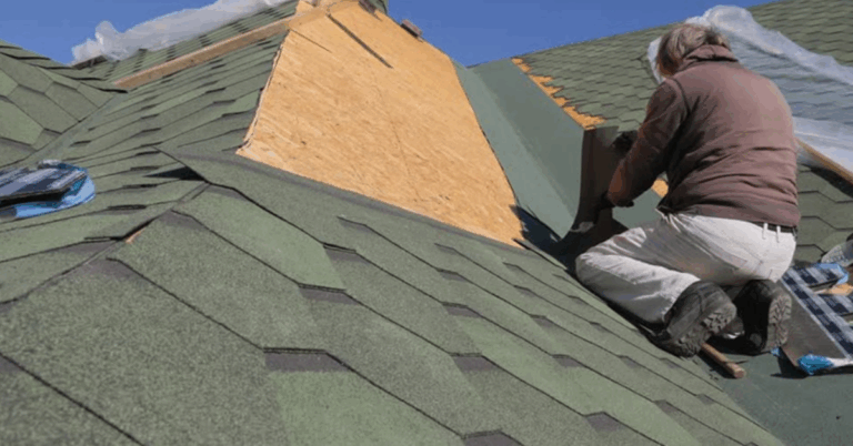 Roof Cleaning Bronx NY: Essential Guide to a Cleaner, Healthier Roof