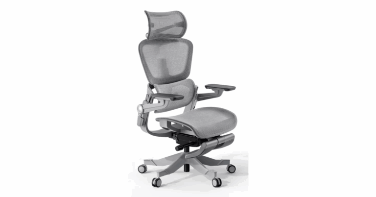 Ergomeister Chair Review: A Comprehensive Look at Comfort, Design, and Value